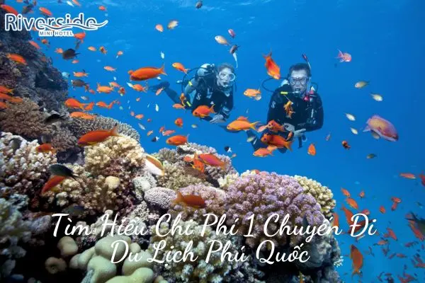 Tìm Hiểu Chi Phí 1 Chuyến Đi Du Lịch Phú Quốc 